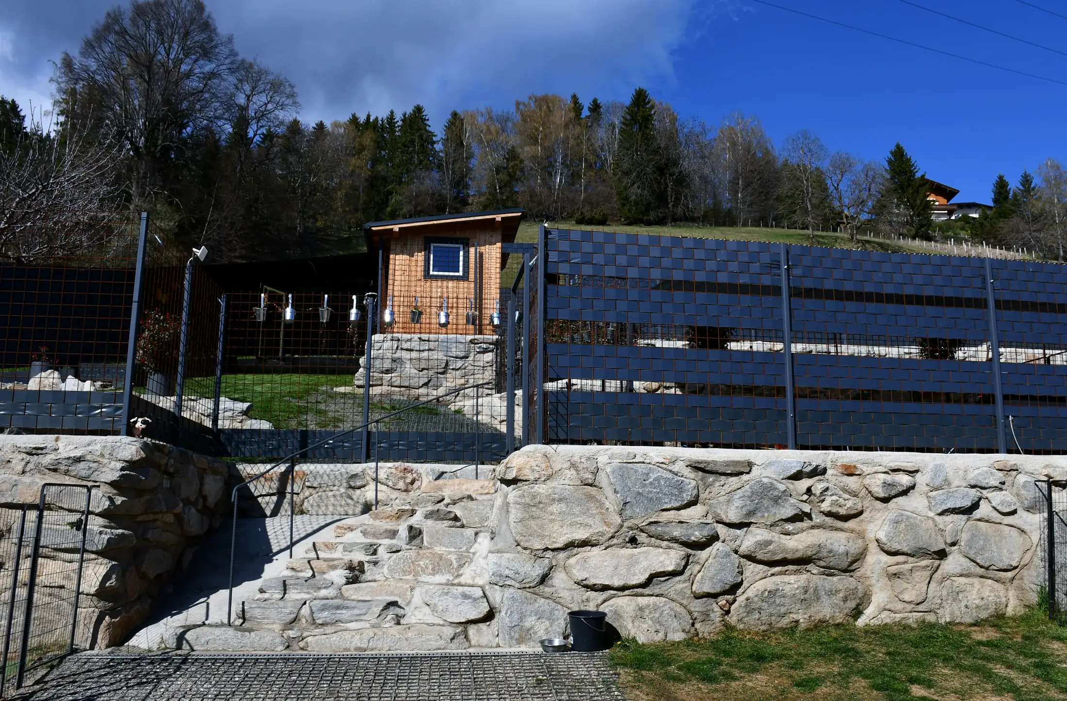 Gallery image 2